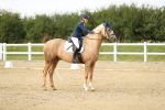 SBM_018513