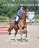 BPP_5566