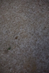 SBM_009251
