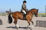 SIAL2165