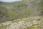 Duddon Long-617