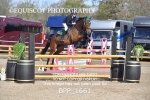 BPP_1661