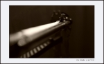 The Millenium Double Bass V