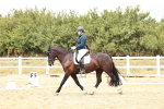 SBM_003711