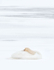 MUTE SWAN IN WINTER, INNER BAY - LONG POINT