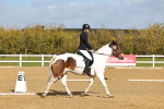 SBM_000951