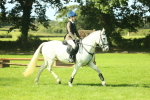 SBM_39264