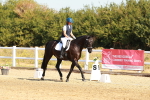 SBM_016611