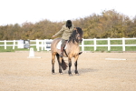 SBM_000934