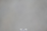 230721A-093110-04962