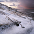Ice sculptures1