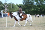 WJ7_6887