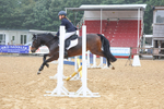 Class 4: Pony British Novice/80cm open portfolio