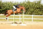 SBM_010459