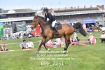 BPP_7251