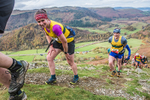 Stybarrow Dodd-480