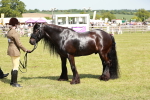 SBM_07166
