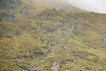 Peris Horseshoe-67