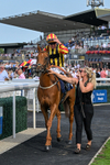 130826-Race 6-Saxon Grace-9972