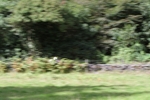 FOM_0671