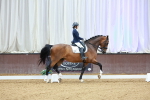SBM_003750