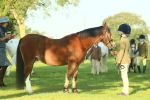 SBM_57443