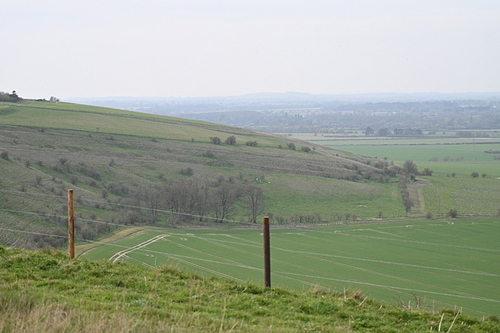 WJ7_8020