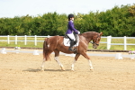 SBM_007627