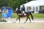 117-J-Holly_Horton-WEDTrotUp+DR portfolio