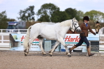 SBM_14361