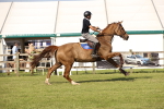 SBM_09939