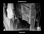 Cement Works 08