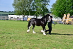 SBM_10116