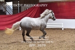 BPP_2679