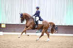 SBM_010085