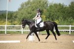 SBM_008831