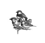 Sparrow Montage