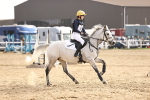 SBM_003299