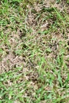 SBM_03528