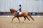 SBM_003683