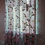 Curtains, Broad Hall Farm