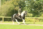 SBM_67441