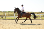 SBM_000904