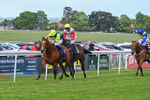 Race 5 4.35pm Napoleons Casino And Restaurant Hull Handicap portfolio