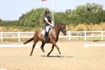 SBM_010603