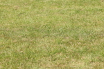 SBM_02366
