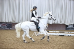 SBM_003181