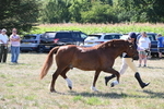 WJ6_4856