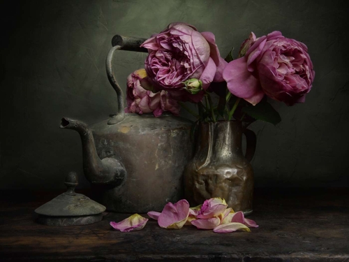 Rose Petals