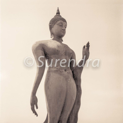 Sukhothai  スクタイ portfolio